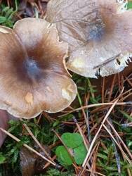 IMG_20251019_115718.jpg