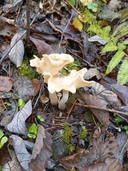 IMG_20251019_122710.jpg