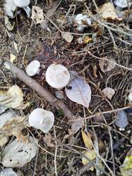 IMG_20251022_145910.jpg