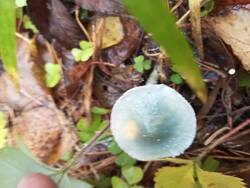 IMG_20251025_113256.jpg