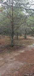 IMG_20251025_141706.jpg