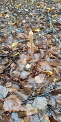 IMG_20251025_144810.jpg