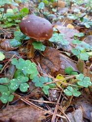 IMG_20251027_124212.jpg