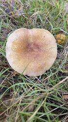 IMG_2883.jpeg
