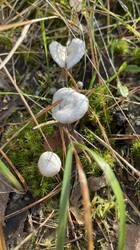 IMG_2886.jpeg