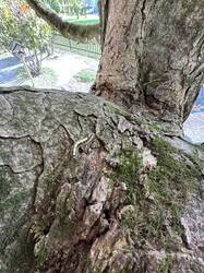 IMG_4338.jpeg