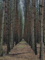 IMG_5039.thumb.jpeg.8e8aa4472a00d7881a8452c730cef4c4.jpeg