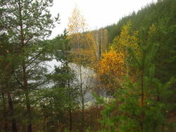 IMG_5507.thumb.JPG.7b4bcc8c429a33ccbc39a5ba59555b22.JPG