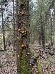 IMG_9569.jpeg
