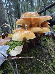 IMG_9577.jpeg