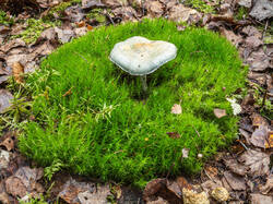 PA043238-ORF_DP_XD.jpg