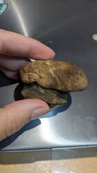 PXL_20251012_173345686.thumb.jpg.904c8a396ef00af8d4dd59cd8f90e26c.jpg