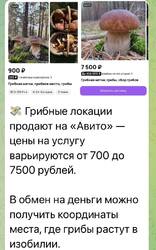g1NqL2whJ1rKFczSqmTGxYVtRAlp9q0B1ENT2b6NCBb2eO26oJgqpGEngpUXpLVhwra-NCvnXwV6nHhy1Mzx5-n9.thumb.jpg.68eb296a066541306b51368f7e99a4cb.jpg