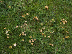 glipti20.thumb.jpg.8b9444f0cec5a6c6214428ffd296703b.jpg