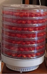 image.thumb.png.ef71ef33b13cd93b73082def5eacd940.png