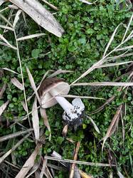 WhatsApp Image 2025-11-27 at 17.06.57.jpeg