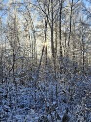 photo_2025-11-16_11-45-21 (5).jpg