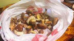 photo_2025-11-27_17-21-31 (2).jpg