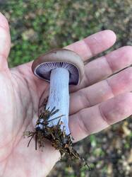 IMAGE 2025-11-05 15:45:42.jpg