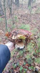 photo_2025-11-27_17-18-39 (2).jpg