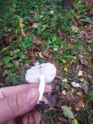 WhatsApp Image 2025-11-07 at 14.21.25.jpg