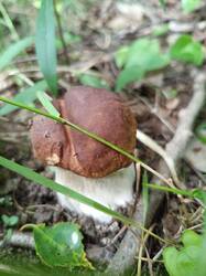 Изображение WhatsApp 2025-07-07 в 17.23.01_55bbf72a.jpg