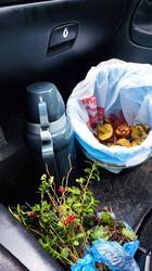 photo_2025-11-29_16-33-19 (2).jpg