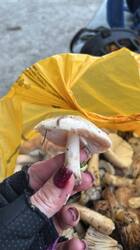 WhatsApp Image 2025-11-27 at 17.06.58 (2).jpeg