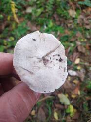 WhatsApp Image 2025-11-07 at 14.21.25 (1).jpg