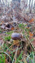 photo_2025-11-16_17-49-16 (2).jpg