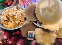 е3 рп53рент.jpg