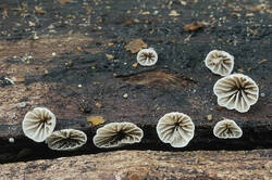 2025-12-01 13-33-47 (C)а.jpg