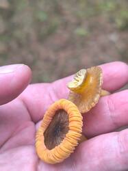 WhatsApp Image 2025-12-07 at 12.08.46 (1).jpeg