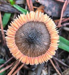 WhatsApp Image 2025-12-07 at 12.04.43.jpeg