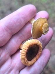 WhatsApp Image 2025-12-07 at 12.08.46.jpeg