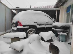 WhatsApp Image 2026-01-12 at 13.12.04.jpeg