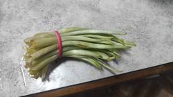 WhatsApp Image 2026-02-14 at 15.34.21.jpeg