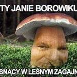 Пожилой_Обабок-752