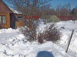 IMG_20260315_130255.thumb.jpg.6baaec85e7ddb6ab1be31d846203ef54.jpg