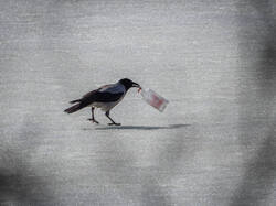 P3220459-ORF_DP_XD.thumb.jpg.087f42407f52adfd0f925b5e0692614d.jpg