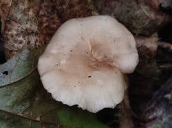 №788 250903 (2).jpg