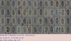 №788 250903 (7).jpg