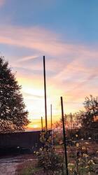 1695813577964 (1).jpg