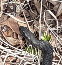 20240411_084602 — копия.jpg