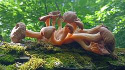 photo_2025-09-29_15-30-39 (2).jpg