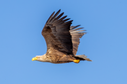 D73A4267.png