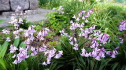 DSC04823.thumb.JPG.ca2ab0407af125406180358b0ea54ac9.JPG