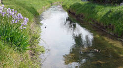 DSC04963.thumb.JPG.20cb1879a9dd3816387b18b08aeab992.JPG