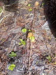 IMG_20260429_122003.jpg