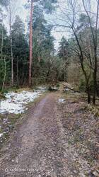 IMG_20260430_130654_962.jpg